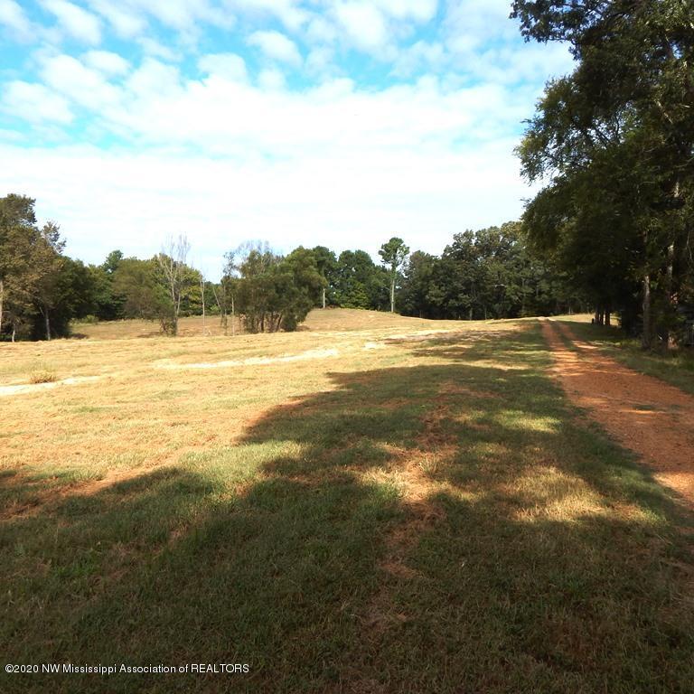 1231 Rader Creek Road Sarah, MS 38665 - Photo 20 of 31 Gallery Image 20