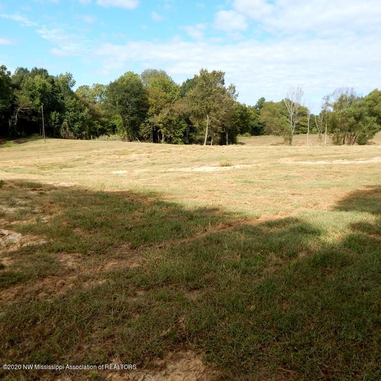 1231 Rader Creek Road Sarah, MS 38665 - Photo 21 of 31 Gallery Image 21