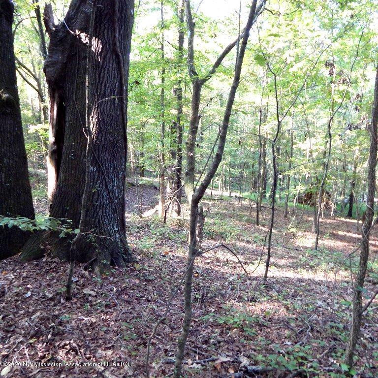 1231 Rader Creek Road Sarah, MS 38665 - Photo 28 of 31 Gallery Image 28