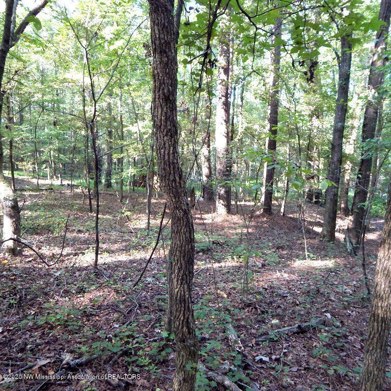 1231 Rader Creek Road Sarah, MS 38665 - Photo 29 of 31 Gallery Image 29