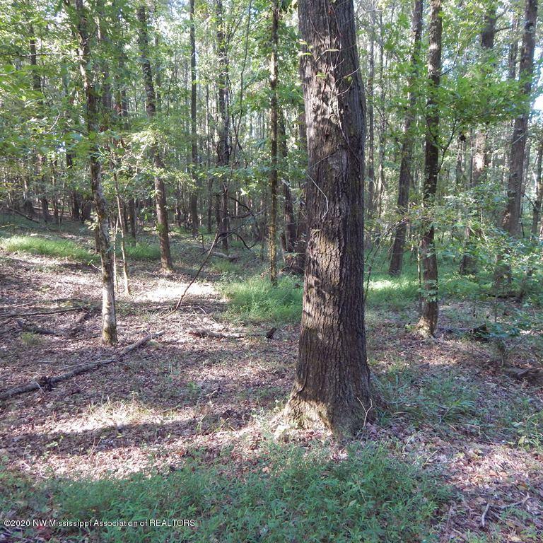 1231 Rader Creek Road Sarah, MS 38665 - Photo 30 of 31 Gallery Image 30