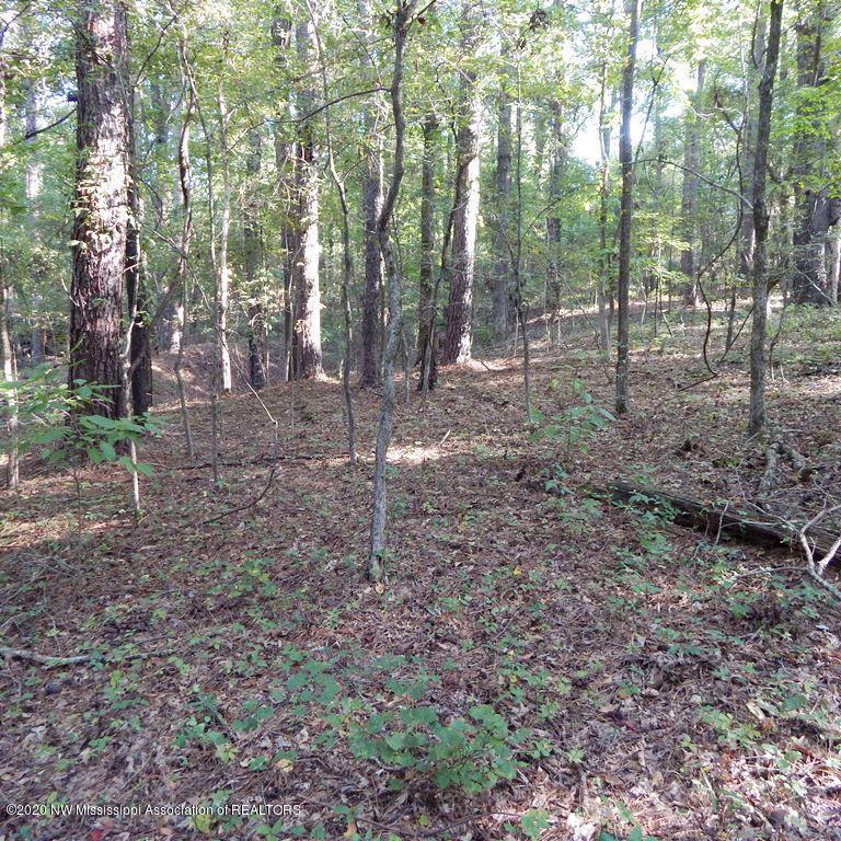 1231 Rader Creek Road Sarah, MS 38665 - Photo 31 of 31 Gallery Image 31