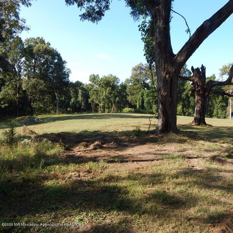 1231 Rader Creek Road Sarah, MS 38665 - Photo 4 of 31 Gallery Image 4