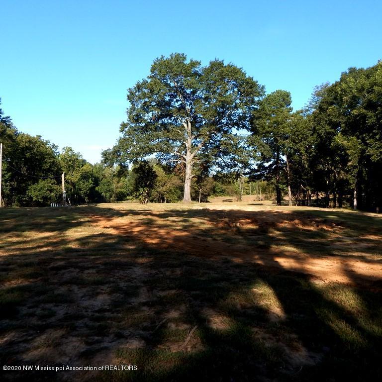 1231 Rader Creek Road Sarah, MS 38665 - Photo 5 of 31 Gallery Image 5