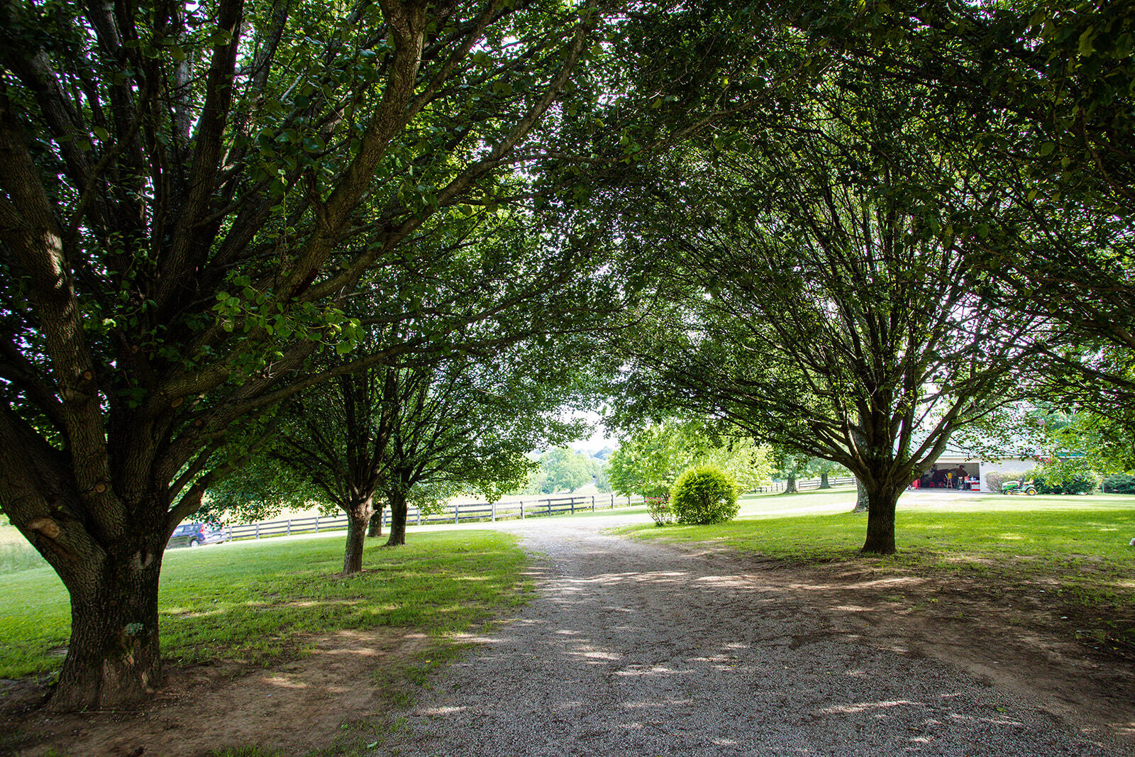 3076 Thomson Station Road Winchester, KY 40391 - Photo 10 of 58 8G1A8954_websize