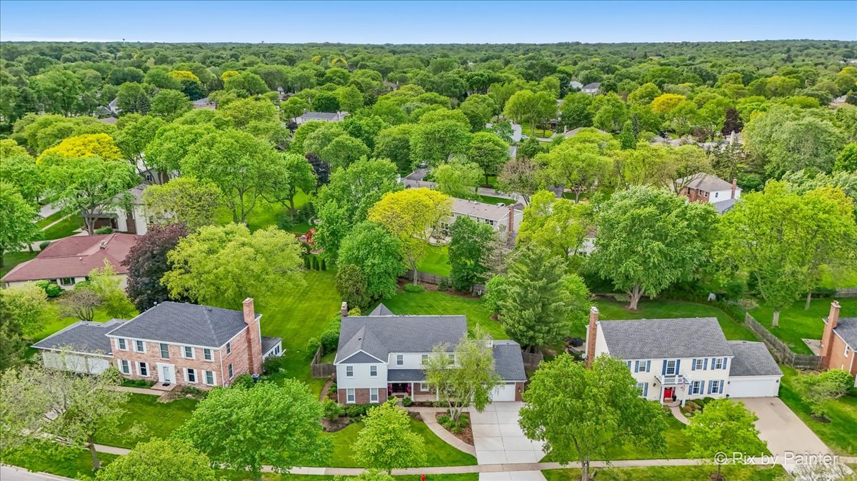 1148 West Whytecliff Road Palatine, IL 60067 - Photo 56 of 70