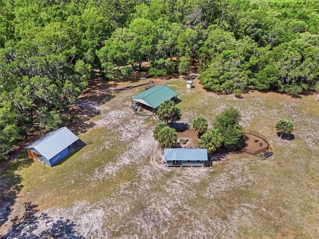 22130 Northwest 75th Avenue Road Micanopy, FL 32667 - Photo 44 of 52