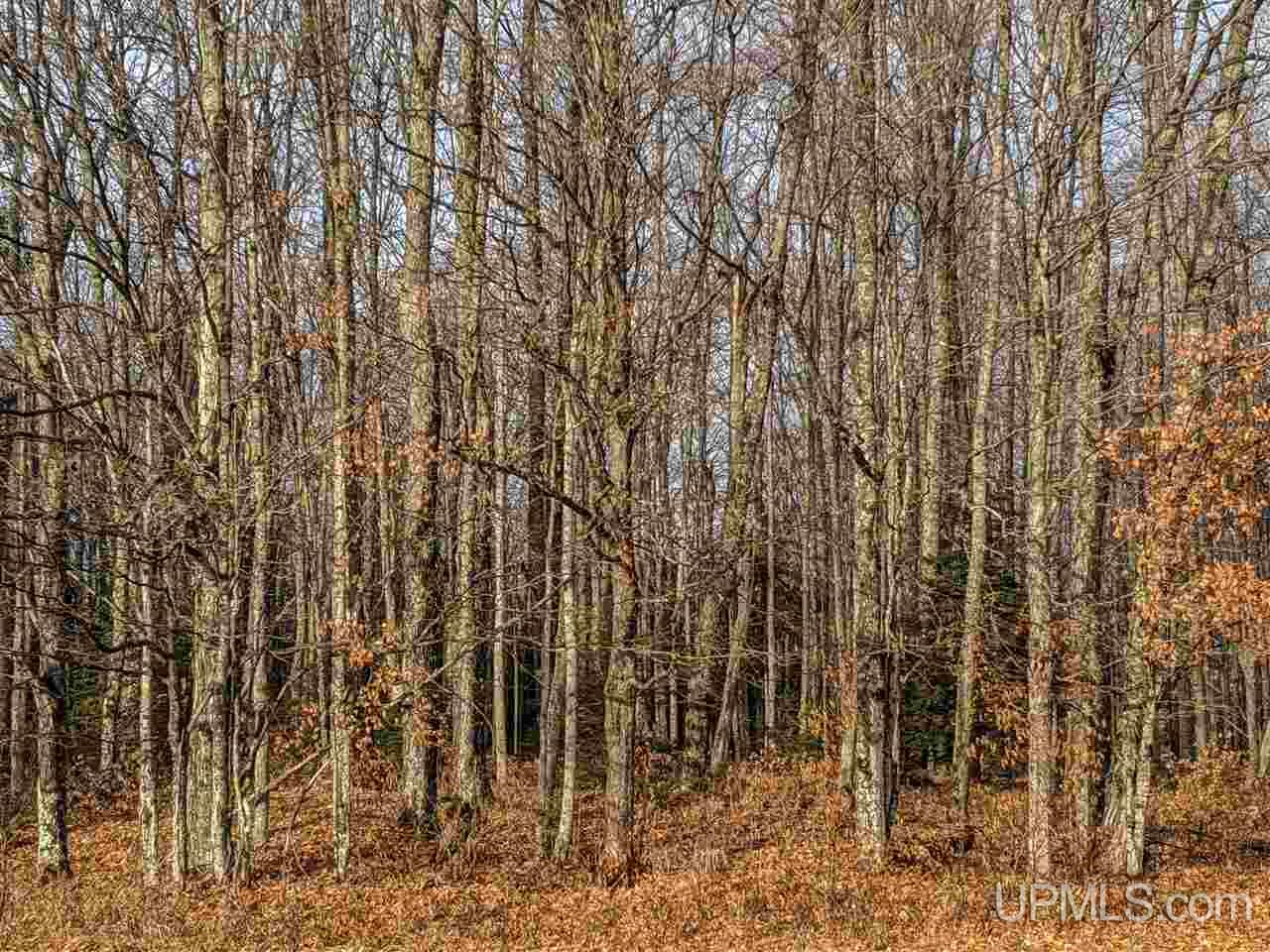 11851 Co Road Cornell, MI 49818 - Photo 35 of 49