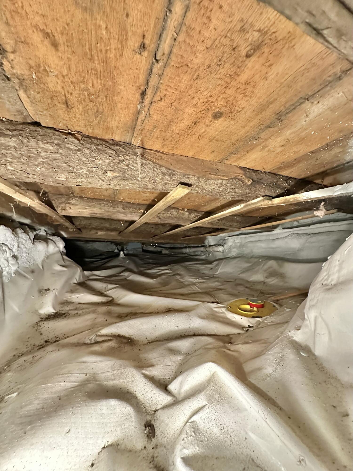 361 Waldoboro Road Friendship, ME 04547 - Photo 50 of 80 IMG_9159