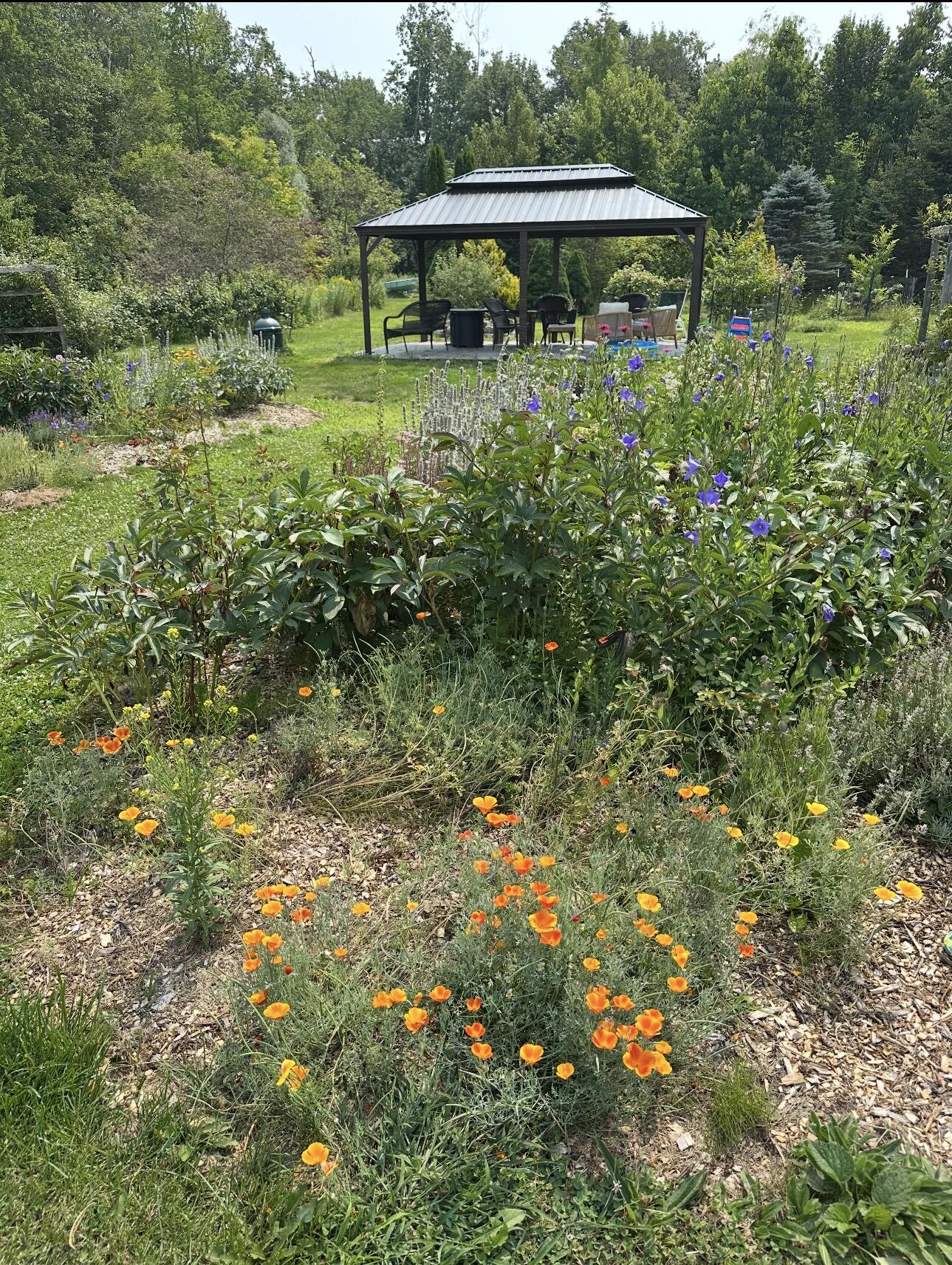 361 Waldoboro Road Friendship, ME 04547 - Photo 55 of 80 IMG_9545