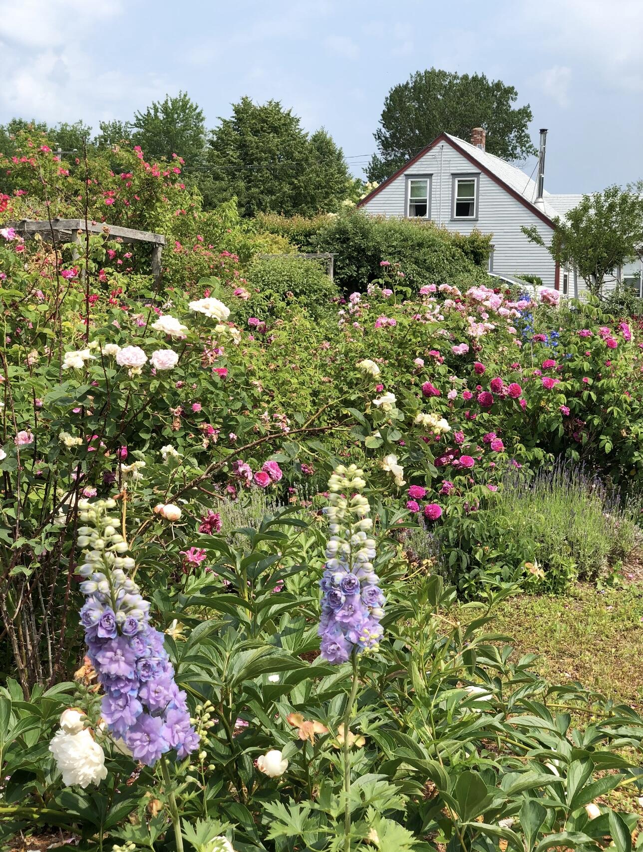 361 Waldoboro Road Friendship, ME 04547 - Photo 59 of 80 IMG_9544