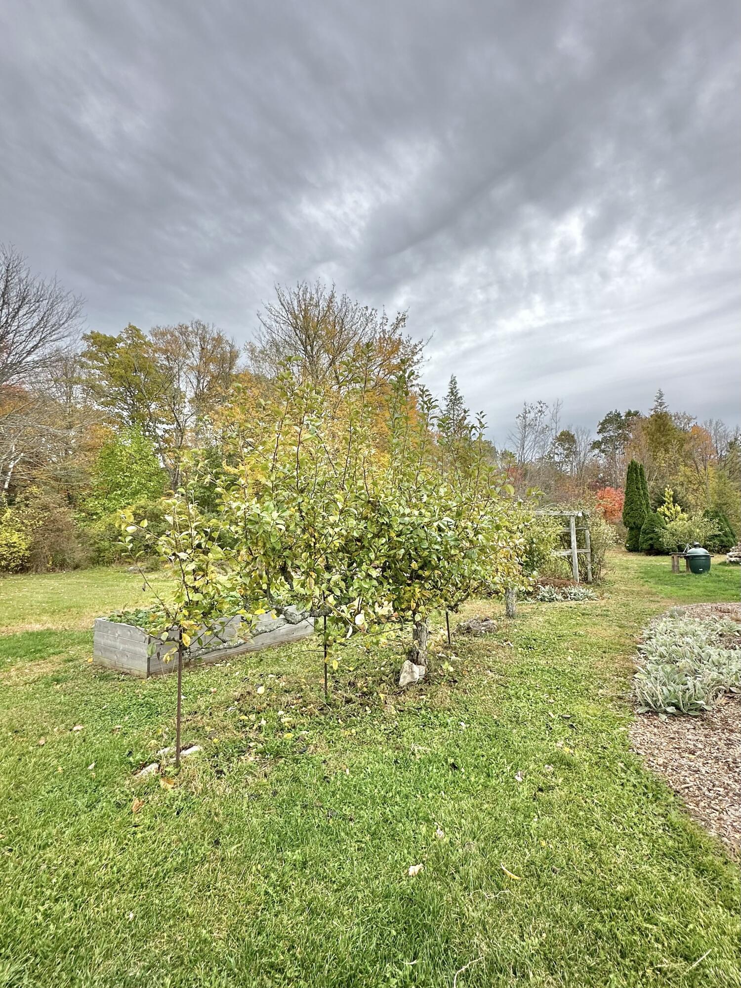 361 Waldoboro Road Friendship, ME 04547 - Photo 61 of 80 IMG_9175