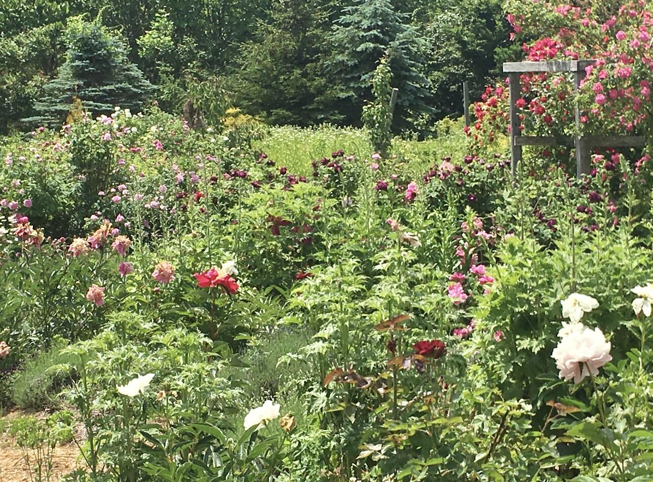 361 Waldoboro Road Friendship, ME 04547 - Photo 63 of 80 IMG_9542