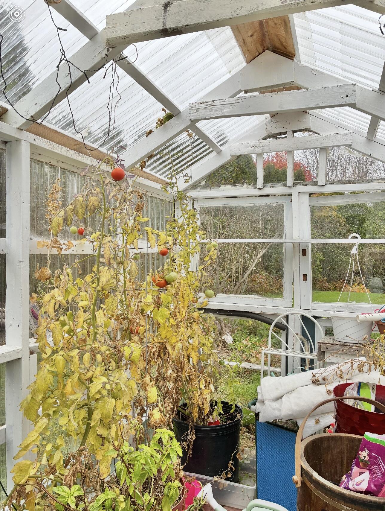 361 Waldoboro Road Friendship, ME 04547 - Photo 66 of 80 IMG_9202