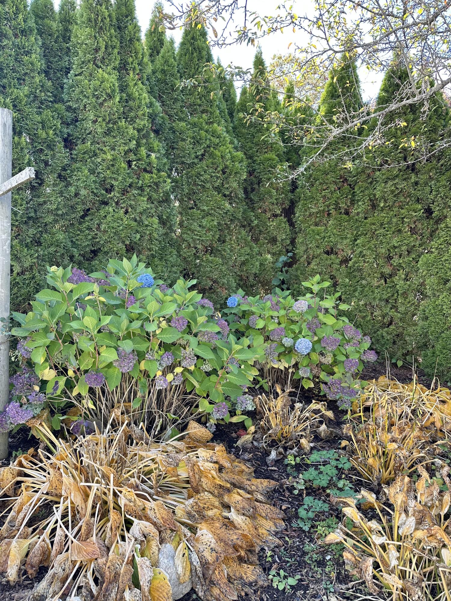 361 Waldoboro Road Friendship, ME 04547 - Photo 75 of 80 IMG_9219