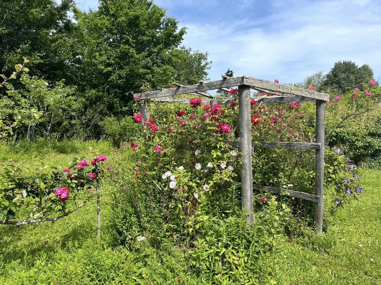 361 Waldoboro Road Friendship, ME 04547 - Photo 76 of 80 IMG_9541