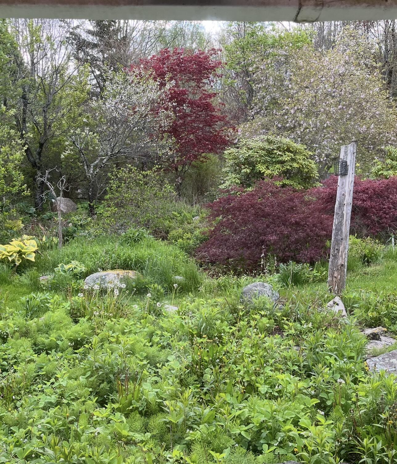 361 Waldoboro Road Friendship, ME 04547 - Photo 80 of 80 IMG_9548