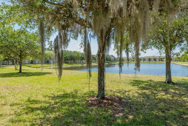 a view of a yard with a tree