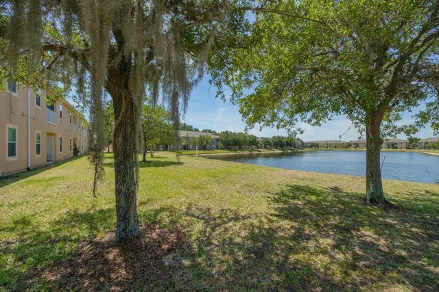 a view of a yard with an tree