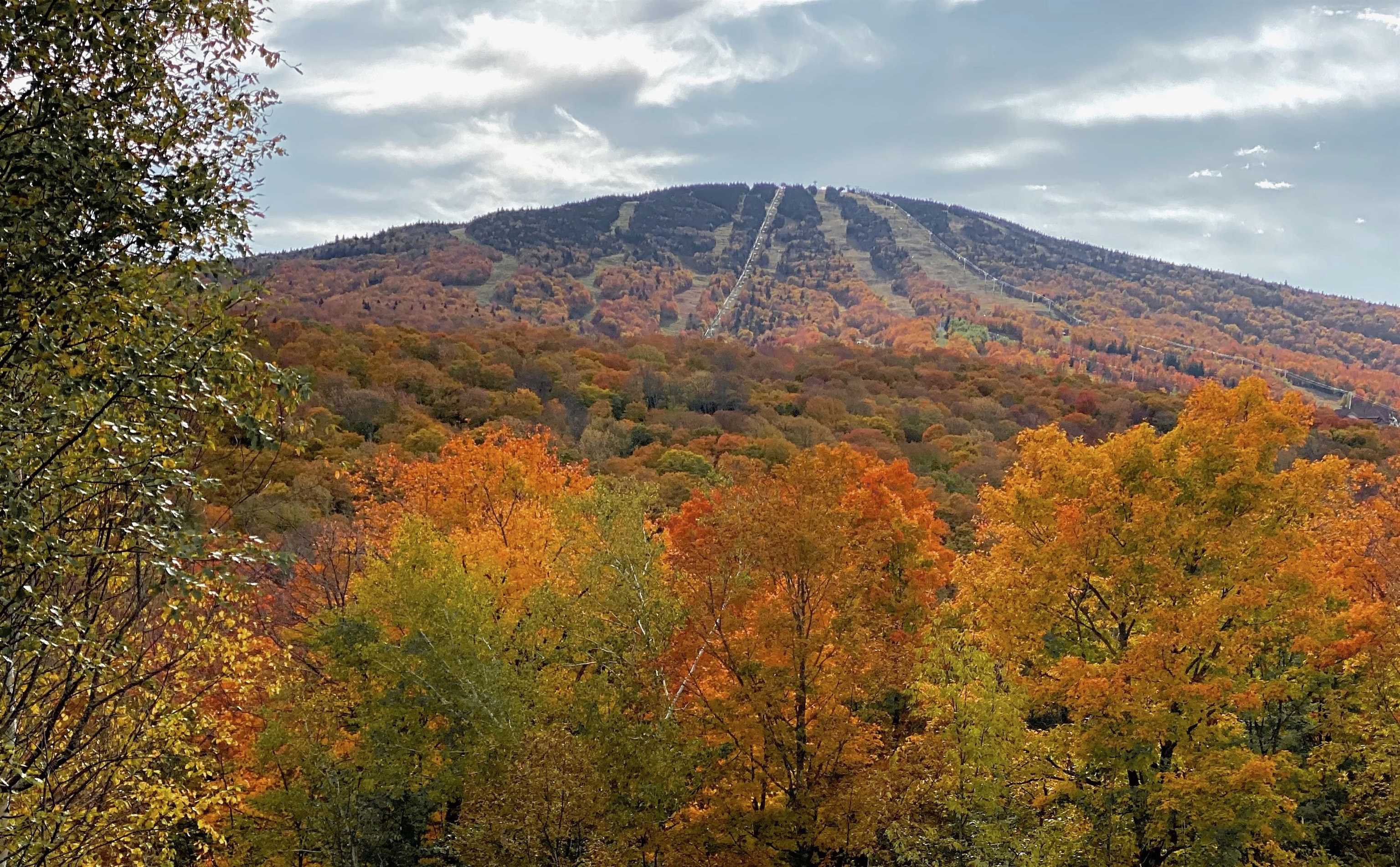 G-11 Cobble Ridge Road Winhall, VT 05340 - Photo 29 of 32