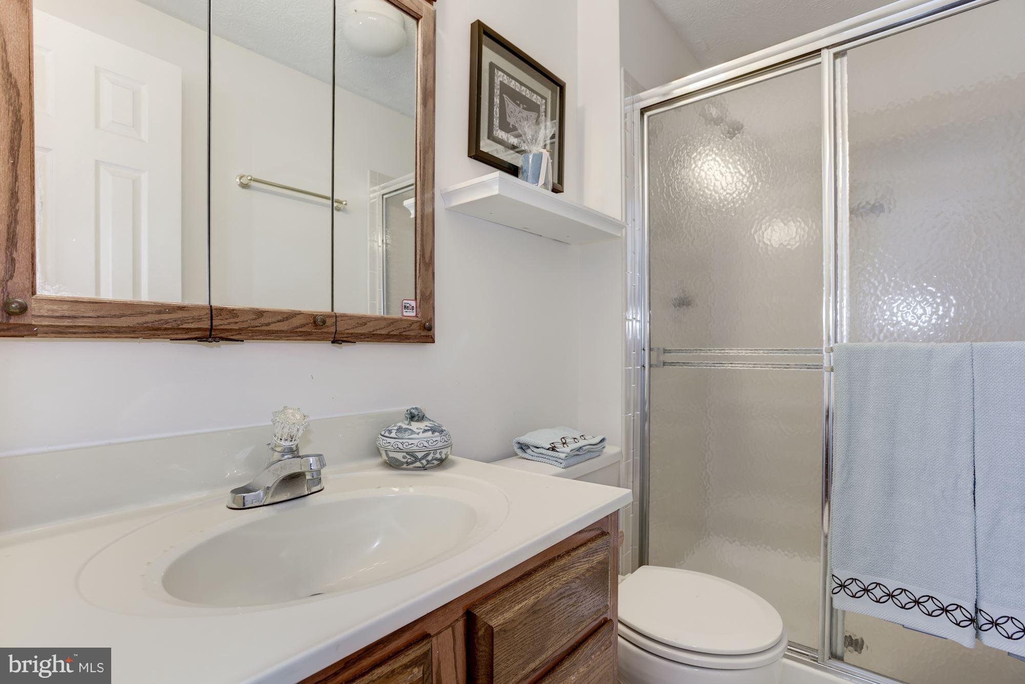 13968 Winding Ridge Lane Centreville, VA 20121 - Photo 16 of 30 Bath (Master)