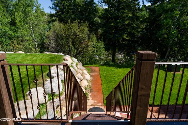 a view of a forest with a tree
