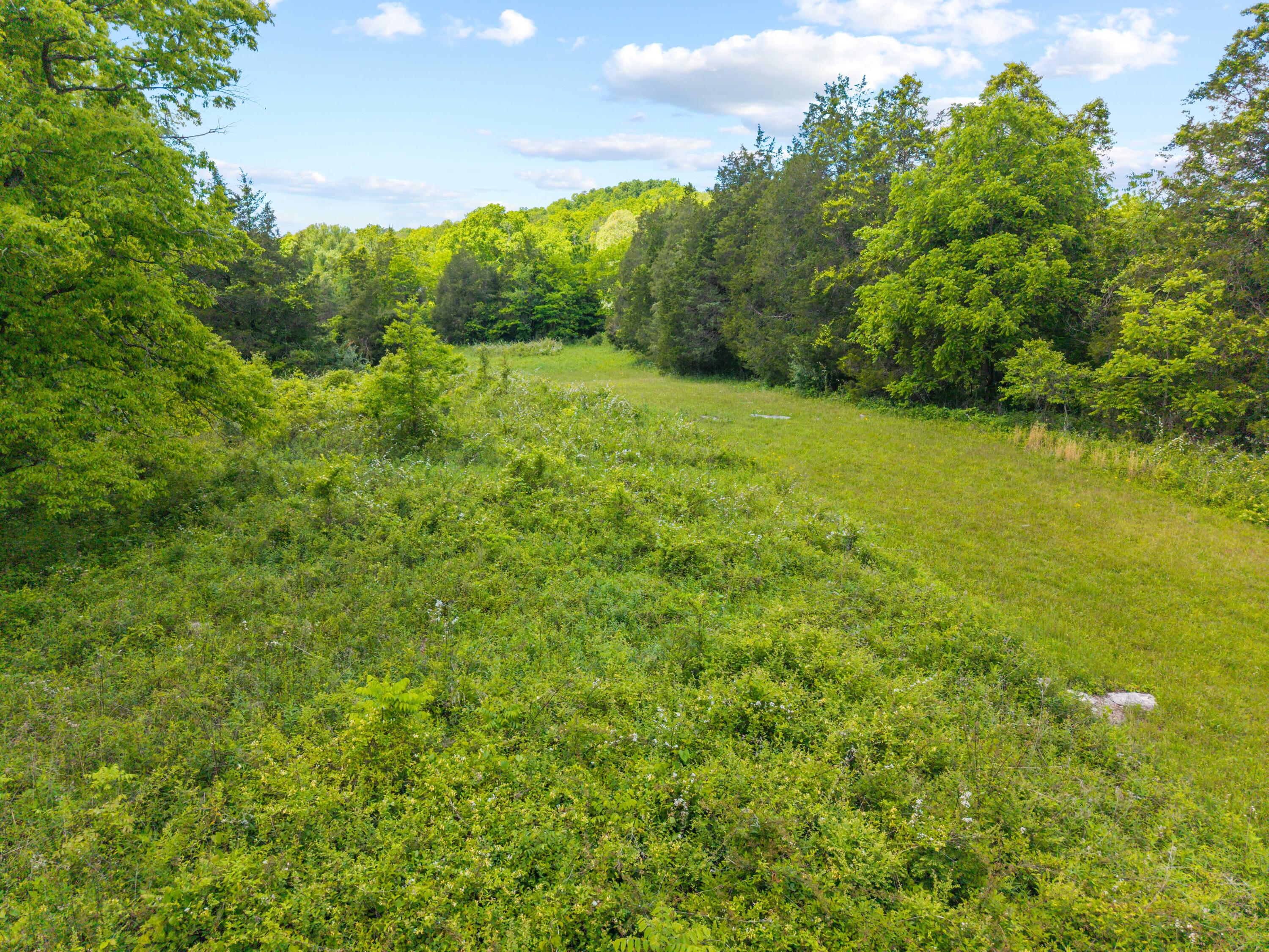 0 Sloans Valley Road Burnside, KY 42519 - Photo 17 of 38 Sloan Valley Land Photo-16
