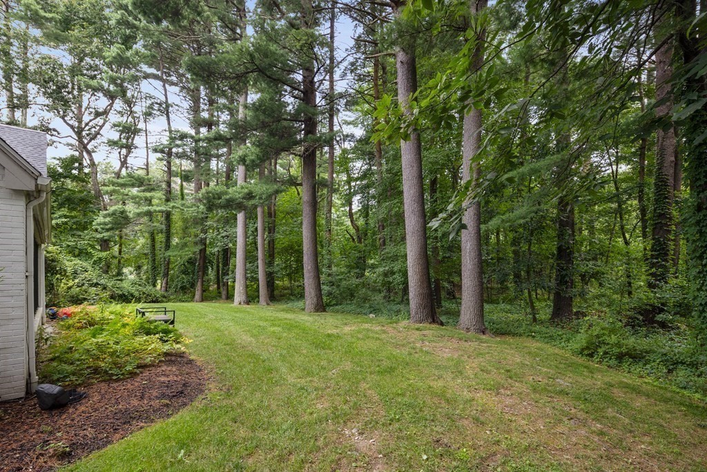 106 Windsor Road Needham, MA 02492 - Photo 35 of 37 a large yard with lots of green space and trees