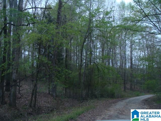 406 Caffe Ridge, Unit PARCEL Woodstock, AL 35188 - Photo 14 of 30