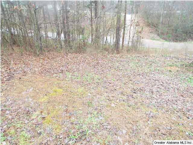 448 Reid Road, Unit 1 Oneonta, AL 35121 - Photo 6 of 8