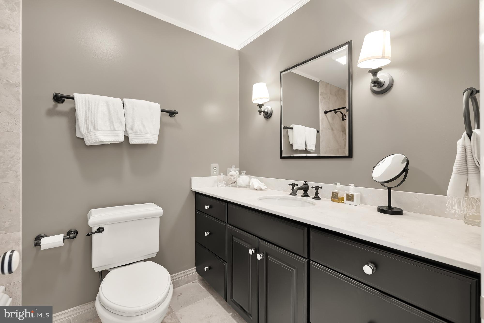 11101 Piney Meetinghouse Road Potomac, MD 20854 - Photo 41 of 96 Sleek modern bathroom with elegant touches.