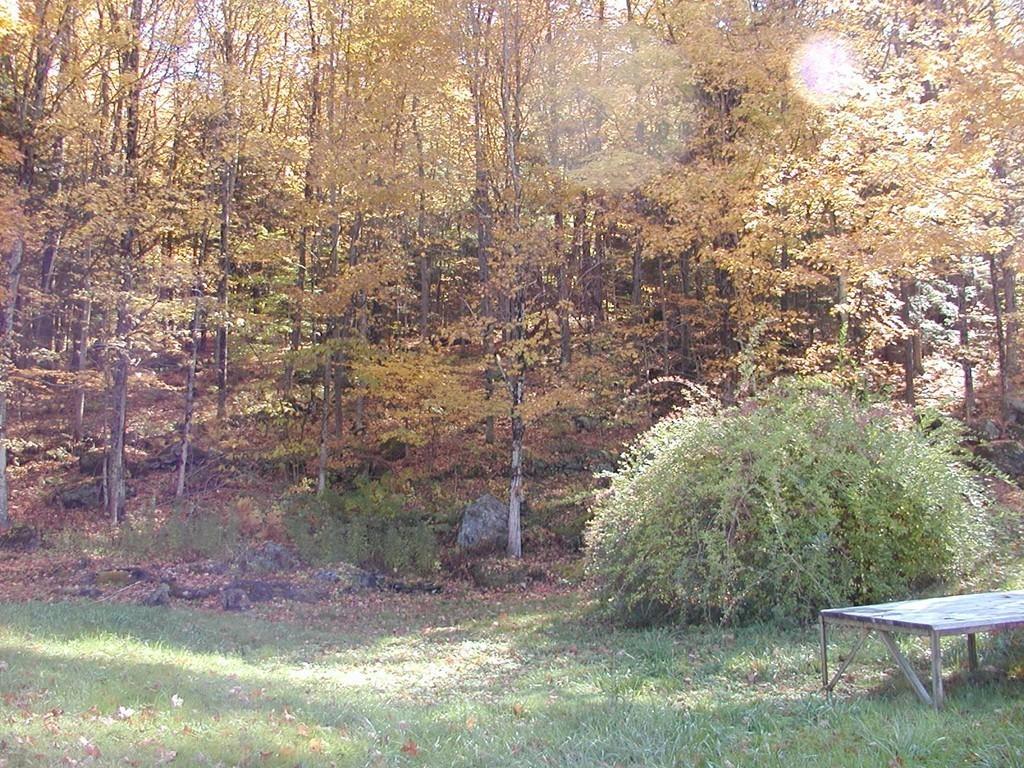 108 Main Road Colrain, MA 01340 - Photo 6 of 13