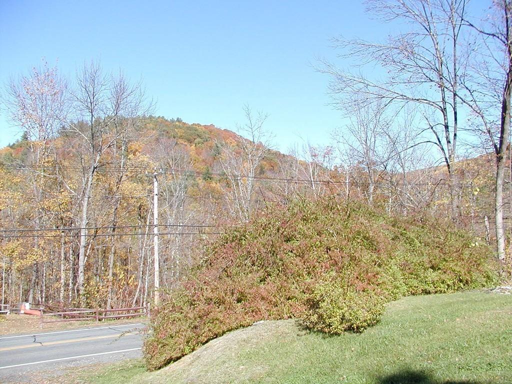 108 Main Road Colrain, MA 01340 - Photo 7 of 13
