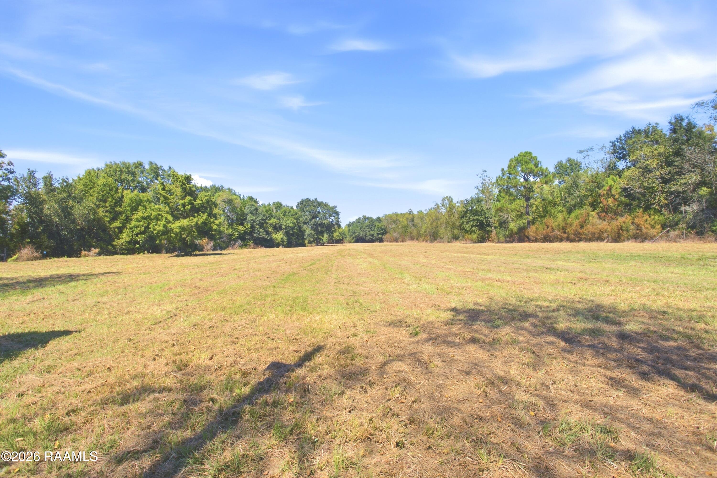 1275 Duplechin Road Church Point, LA 70525 - Photo 20 of 29 889a0569