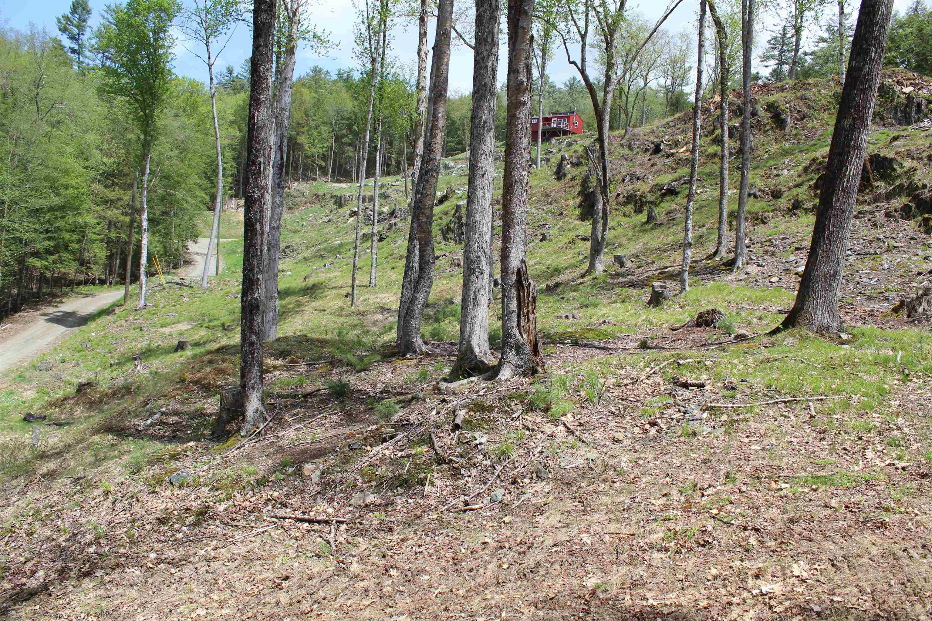 Lot 23-24 Wetherbee Road Lyman, NH 03585 - Photo 43 of 54