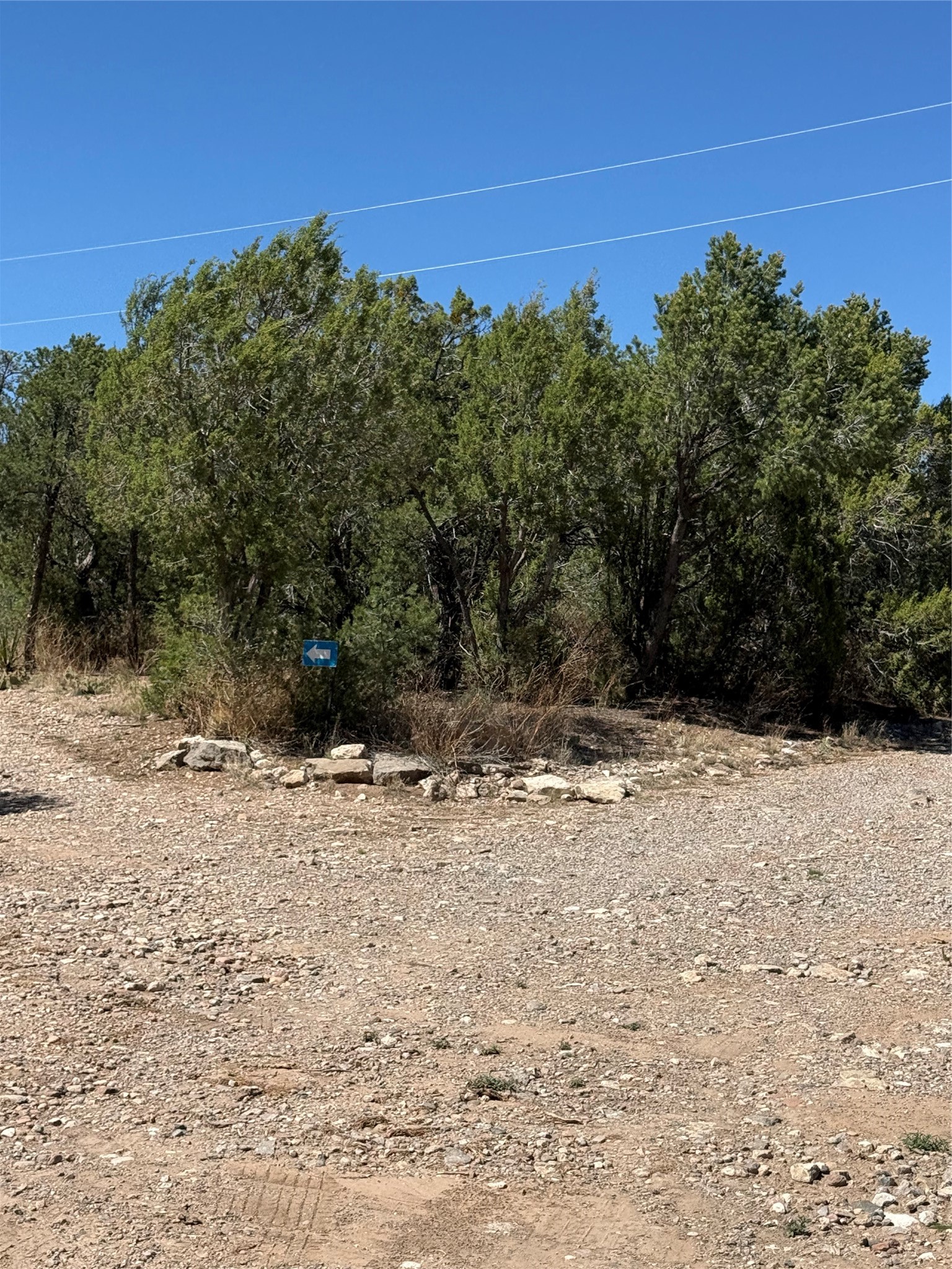 174 Hidden Valley Ranch Road Ilfeld, NM 87538 - Photo 11 of 30