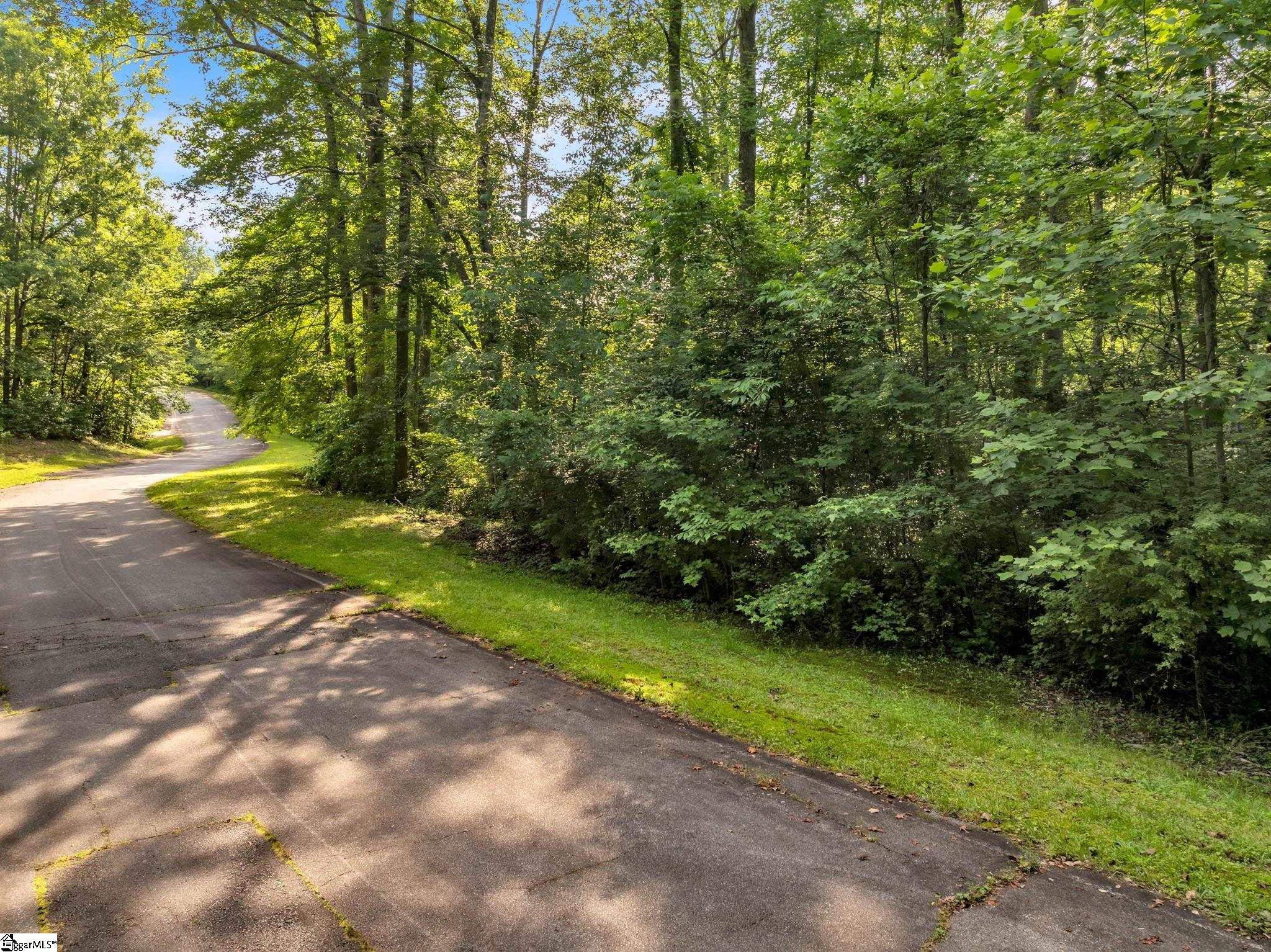 10 Queensmoor Road Travelers Rest, SC 29690 - Photo 3 of 13