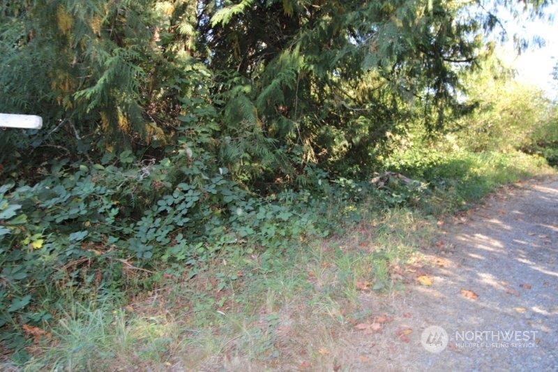 509-517 Prairie View Road South Prairie, WA 98385 - Photo 2 of 8 Gallery Image 2