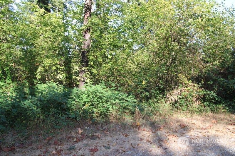 509-517 Prairie View Road South Prairie, WA 98385 - Photo 3 of 8 Gallery Image 3