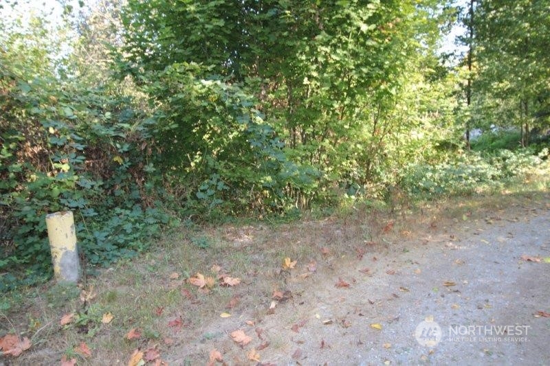 509-517 Prairie View Road South Prairie, WA 98385 - Photo 5 of 8 Gallery Image 5