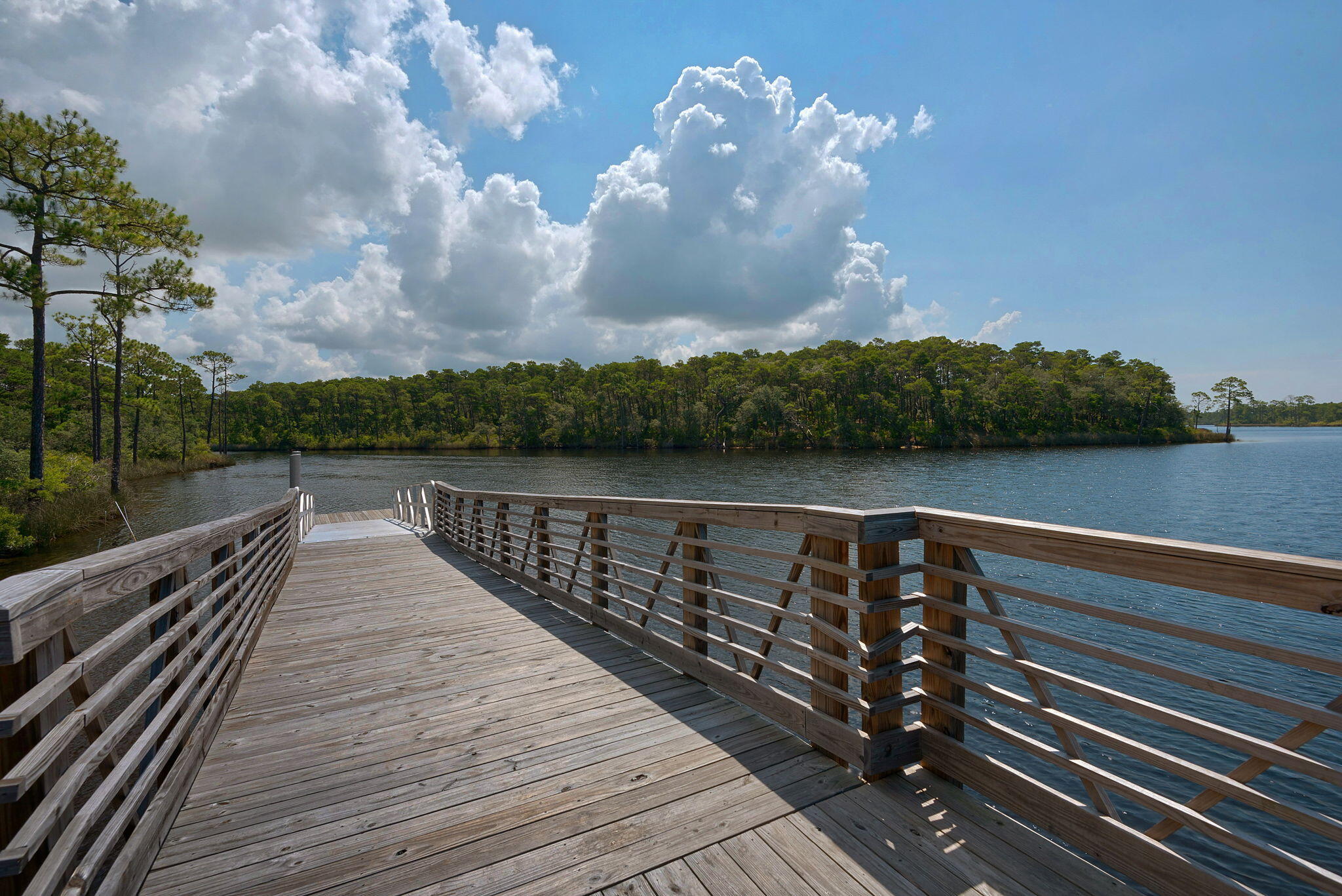 290 Windrow Way Watersound, FL 32461 - Photo 77 of 82 36-36_WatersoundOrigins062716_169