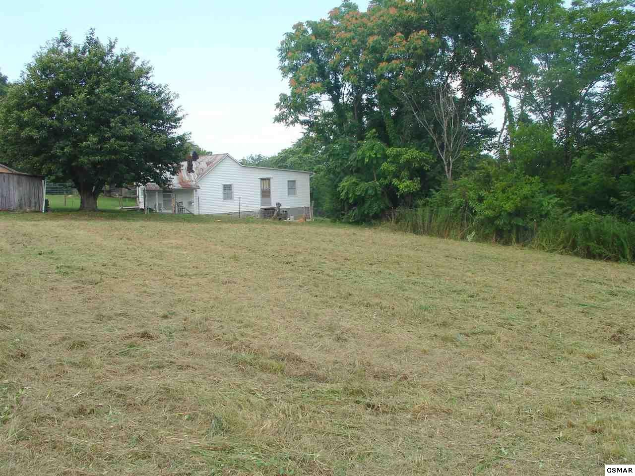 462 County Line Road Dandridge, TN 37725 - Photo 3 of 22