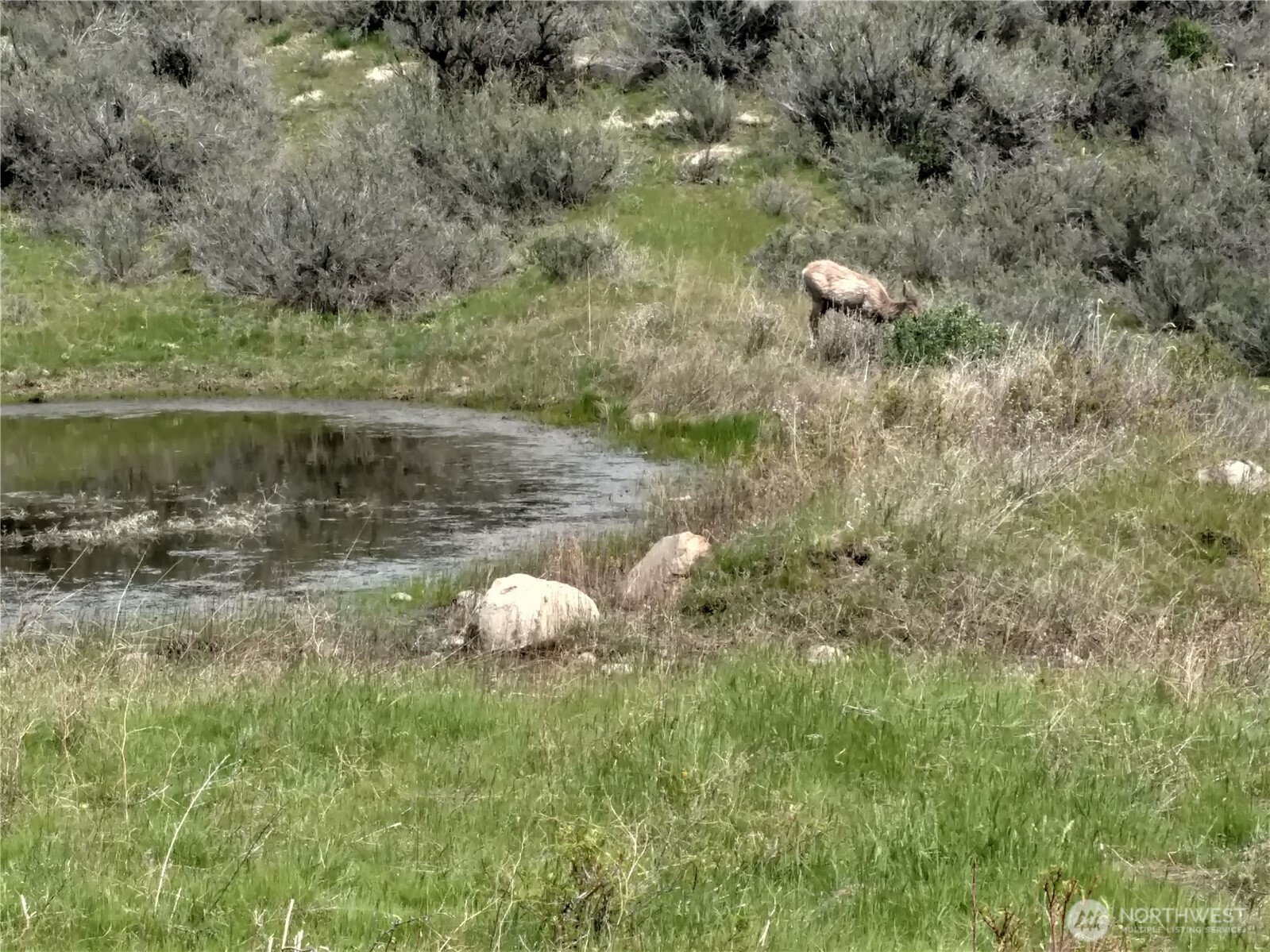 8721 Robbins Road Ellensburg, WA 98926 - Photo 24 of 27 Gallery Image 24