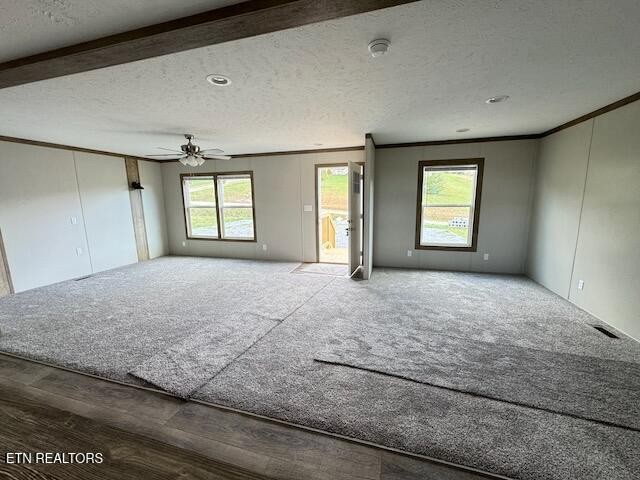 145 Mulberry Road Greeneville, TN 37745 - Photo 11 of 50 a view of livingroom with natural light
