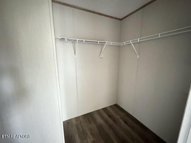145 Mulberry Road Greeneville, TN 37745 - Photo 13 of 50 a view of small space