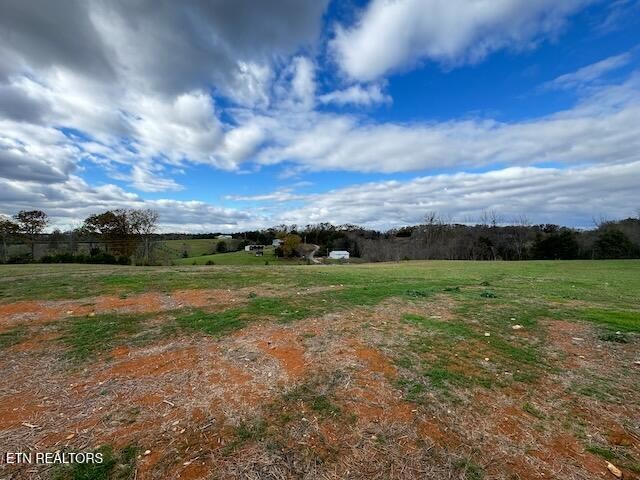 145 Mulberry Road Greeneville, TN 37745 - Photo 47 of 50 a view of a field with an ocean