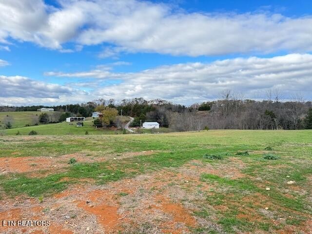 145 Mulberry Road Greeneville, TN 37745 - Photo 48 of 50 a view of an outdoor space and yard