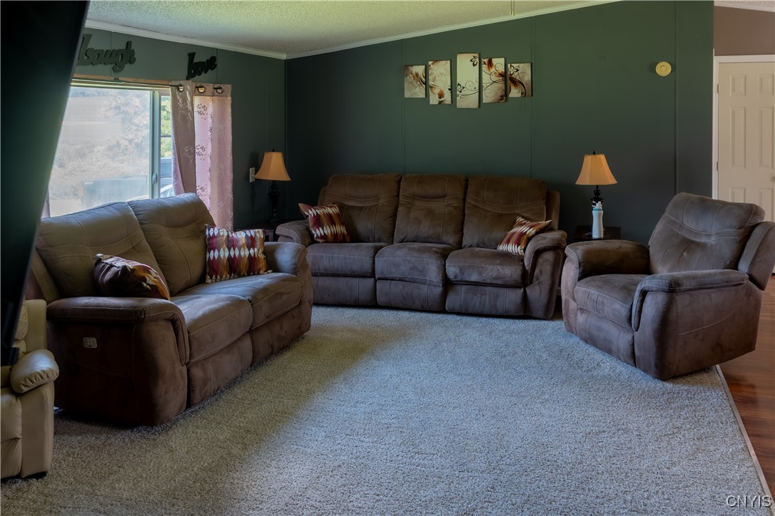 3328 Lysander Road Ira, NY 13033 - Photo 11 of 19 Living room