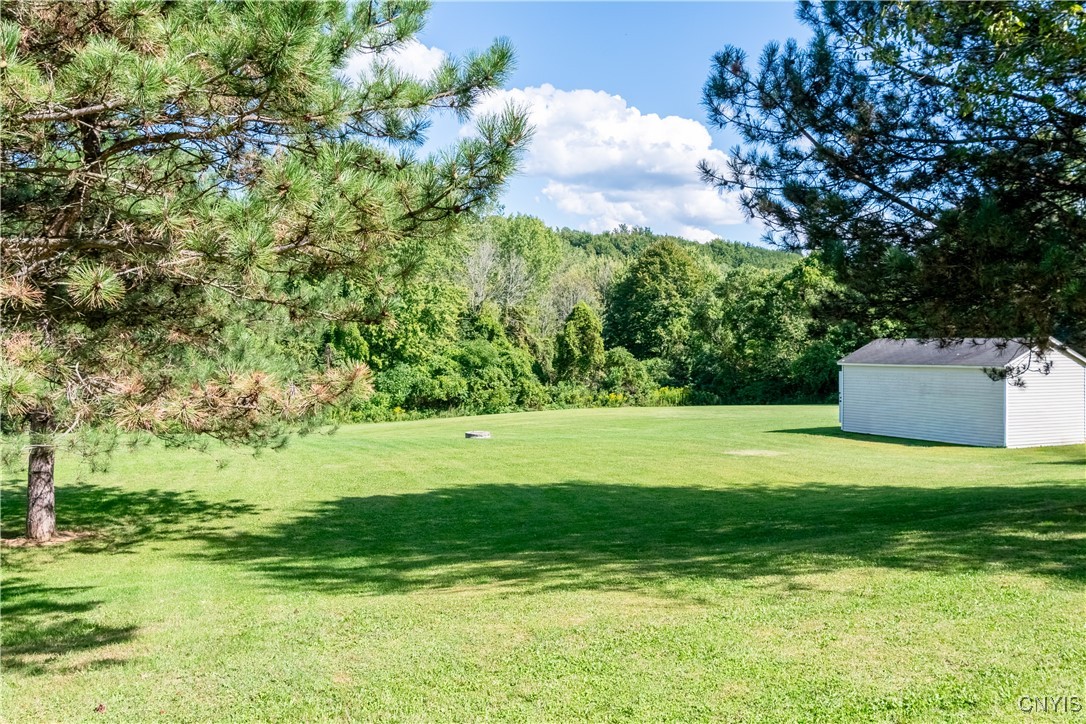 3328 Lysander Road Ira, NY 13033 - Photo 5 of 19 Back Yard
