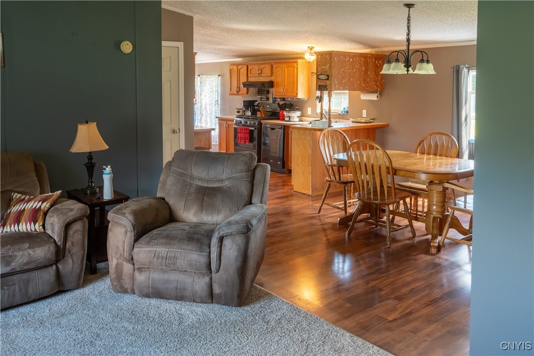 3328 Lysander Road Ira, NY 13033 - Photo 10 of 19 Living room